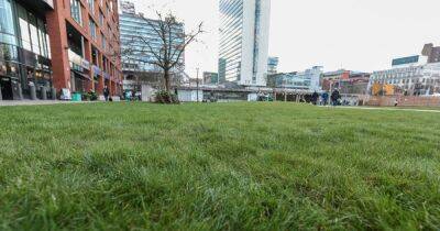 Evening News - Behold... Piccadilly Gardens in all its lush glory as grass 'looking like Wimbledon' - for now - manchestereveningnews.co.uk - Manchester - county Garden
