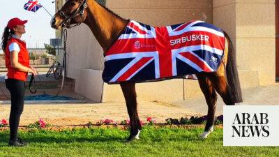 Sir Busker well prepared, in the hunt for NEOM Turf glory at Saudi Cup