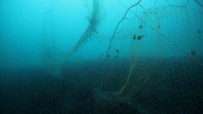 Lost at sea: The hidden cost of ghost gear - france24.com - France