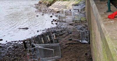 River Irwell - The staggering number of shopping trollies dumped in the River Irwell is raising the riverbed - manchestereveningnews.co.uk - Britain - county Garden