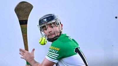 Division 2 and 3 Allianz Hurling League round-up: Offaly edge Kerry