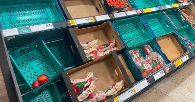 Pizza could be set to get more pricey, as tomato costs hit restaurants in ‘perfect storm’ - manchestereveningnews.co.uk - Britain - Manchester - Italy