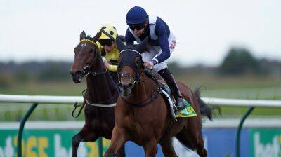 Injury ends career of unbeaten filly Commissioning