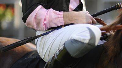 French racing to limit jockeys to four smacks of the whip under both codes - rte.ie - Britain - France