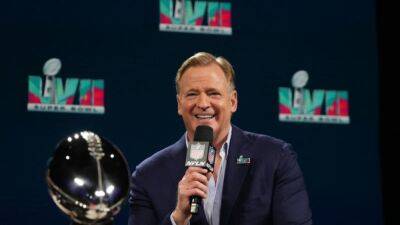 NFL-League well on way to becoming global sport, says Goodell