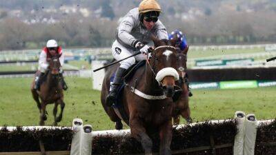 Cheltenham Festival: Gold Tweet set to be supplemented for Stayers' Hurdle