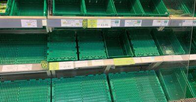Lidl and Asda start to lift supermarket restrictions after shortages left some shelves bare