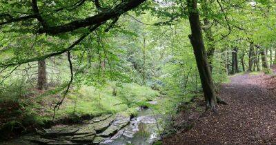 The waterfalls and ruins hidden in woods an hour from Greater Manchester