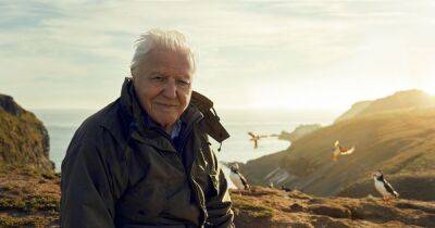 Where is BBC Wild Isles with David Attenborough filmed?