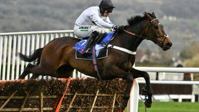 Nicky Henderson - Cheltenham Festival - Cheltenham Tuesday preview: Constitution Hill ready to reign in Champion Hurdle - rte.ie