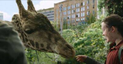 Is the The Last of Us giraffe real in HBO season finale?