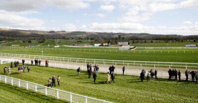Cheltenham Festival - Cost of day for Irish racing fans travelling to Cheltenham surges 43% in four years - breakingnews.ie - Britain - London - Ireland -  Dublin