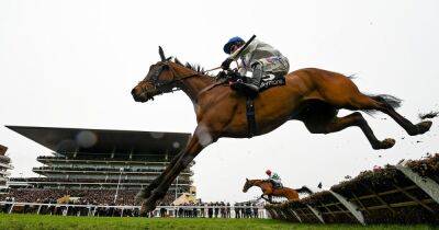 Garry Owen - Cheltenham horse racing results LIVE including Day 3 tips and best bets on the Stayers' Hurdle - dailyrecord.co.uk - France - Ireland