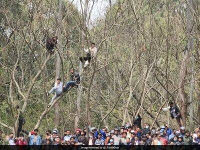 Fans Climb Up Trees To Watch Nepal vs UAE ICC Cricket World Cup Qualification Match. Picture Goes Viral