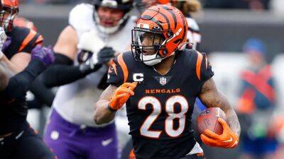 Joe Mixon - NFL star Joe Mixon avoids charges, but sister indicted in shooting outside running back's home - foxnews.com - Usa - state Tennessee -  Baltimore -  Cincinnati -  Nashville