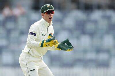 Former Australia Test captain Paine retires from cricket