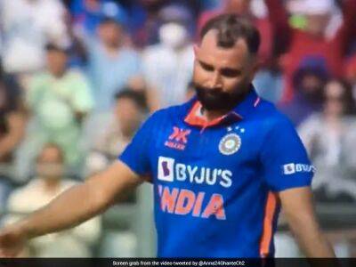 Watch: Mohammed Shami Keeps His Cool Despite Shubman Gill Dropping Catch On His Bowling