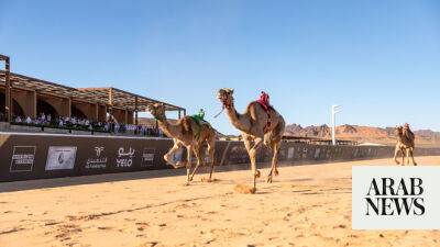 Emirati brothers celebrate AlUla Camel Cup double triumph