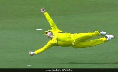 Watch: Steve Smith Pulls Off 'Catch Of The Century', Rohit Sharma's Reaction Goes Viral