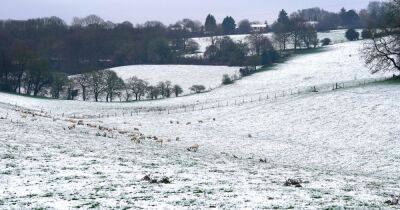 Cold weather alert issued for England as Met Office issues snow update