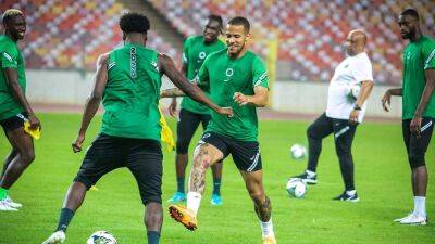 Jose Peseiro - Peseiro ‘sacks’ Shorunmu, Finidi, picks U-20 goalkeepers’ trainer as replacement - guardian.ng - Nigeria - Guinea-Bissau