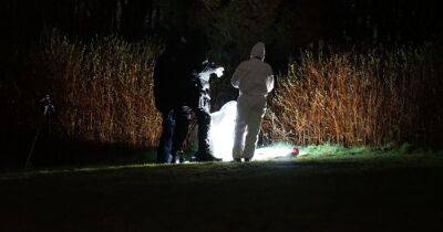 Kids aged seven and 10 find 'viable' guns and ammunition hidden on grassland - manchestereveningnews.co.uk - Manchester