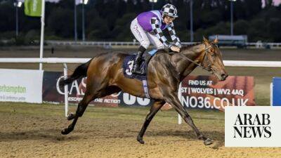 Bahraini-owned, Newmarket-trained El Habeeb out for glory in Dubai Gold Cup
