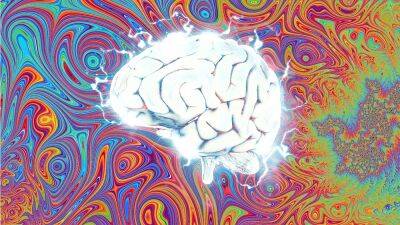 Scientists discover how the brain changes during psychedelic trips on DMT