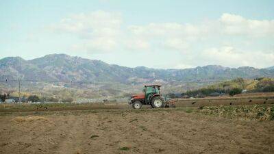 Rediscovering the best of Fukushima's local produce through innovation - euronews.com - Japan