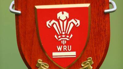 Nigel Walker - WRU member clubs vote overwhelmingly in favour of governance reforms - rte.ie