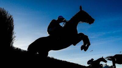 Easter Monday - Thedevilscoachman shows National credentials again at Limerick - rte.ie - Ireland - county Cooper - county Bryan