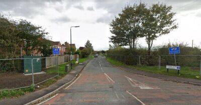 Girl, 6, mauled by pack of dogs while playing on street as brave pedestrians fought them off - manchestereveningnews.co.uk - Manchester - Usa - county Lane