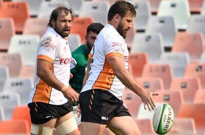 Blow for Cheetahs as injury forces Steyn to miss Challenge Cup clash against Toulon