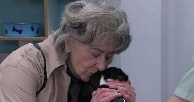 Coronation Street's Maureen Lipman in tears over death of Cerberus the dog as it brought back painful memories of her own loss - manchestereveningnews.co.uk