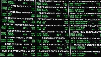 NFL owners vote to allow sportsbooks inside stadiums: report