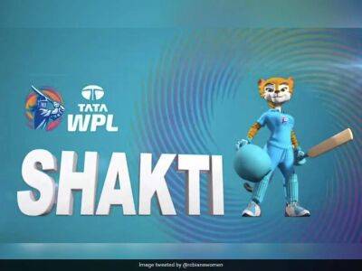 Women's Premier League: BCCI Secretary Jay Shah Unveils Official Mascot 'Shakti' - sports.ndtv.com - India -  Delhi -  Bangalore