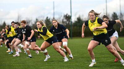 Greg Macwilliams - Les Bleues - Cap numbers game not a concern, insists McWilliams - rte.ie - France - Italy - Ireland