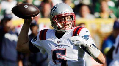 Patriots plan to release QB Brian Hoyer, sources confirm