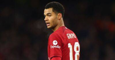 Liverpool FC's Cody Gakpo is proving Manchester United transfer concern correct