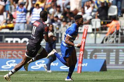 Best in the land: Stormers crowned URC SA Shield champions after clean sweep over SA rivals