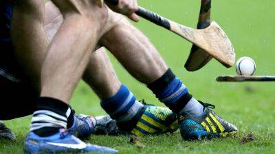 Two involved in row not club members, say Naomh Fionnbarra - rte.ie -  Dublin - county Moore - county Park