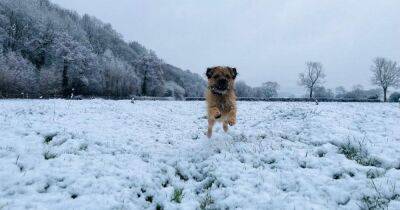 Snow falls across Wales live: Treacherous driving conditions, weather warnings in place - walesonline.co.uk