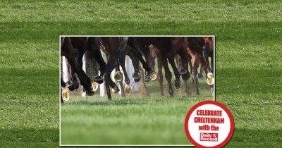 Pick a Winner with your Daily Record this Cheltenham Festival