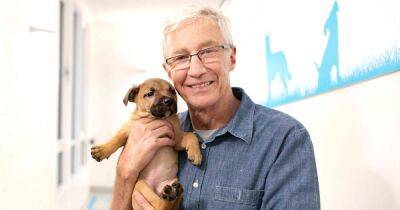 Fundraiser set up in memory of Paul O'Grady raises over £135k for Battersea animal shelter - manchestereveningnews.co.uk