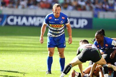 Alex Dombrandt - Joe Marchant - Damian Willemse - Steven Kitshoff - Willie Engelbrecht - Stormers show enough class to down Harlequins and book Champions Cup quarter-final spot - news24.com - Britain -  Cape Town