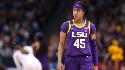 Caitlin Clark - Maddie Meyer - LSU found defense on South Carolina's shooters 'very disrespectful' ahead of matchup with Caitlin Clark, Iowa - foxnews.com - Usa - state Texas - county Dallas - state Iowa - state South Carolina - county Johnson - county Clark