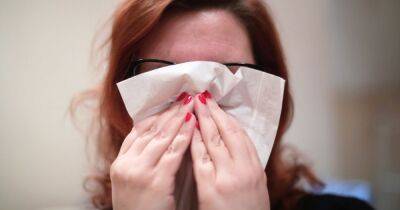 Hay fever sufferers given warning as 'alarming' levels of pollen forecast - manchestereveningnews.co.uk - Britain
