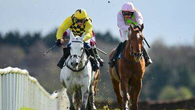 Willie Mullins - Paul Townend - Monkfish pleases in comeback second to Asterion Forlonge - rte.ie -  Punchestown