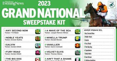Noble Yeats - Grand National 2023 sweepstake kit: Print yours free for the big race - manchestereveningnews.co.uk - Manchester