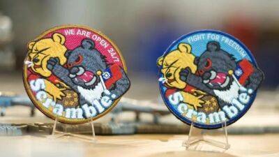 Punching Pooh: Taiwan's unofficial air force badge goes viral